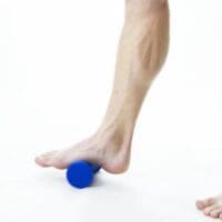 Foot