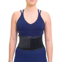 Classic Comfort Back Support