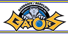 Sandgate Redcliffe Gators Logo sandgate redcliffe gators cricket physio